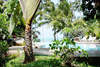 Coconut Tropicana 
